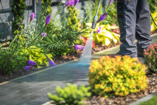 Best Gutter Cleaning  in Sunset, FL